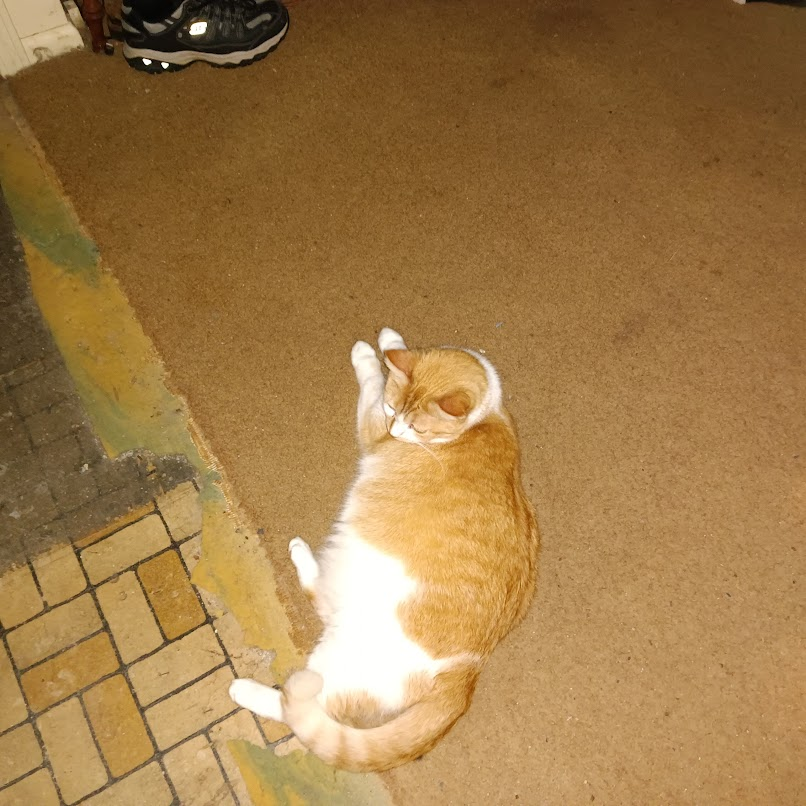 torch327 tweet media