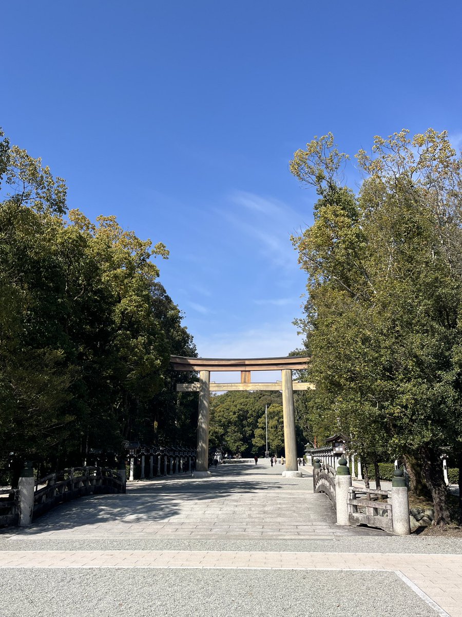 モリヲ tweet media