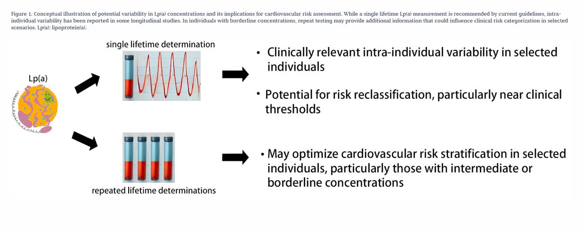 Is one lifetime Lp(a) measurement enough? Emerging evidence shows meaningful variability, challenging the "one-and-done" approach. 
sciexplor.com/articles/alr.2…
#Lpa #Cardiology