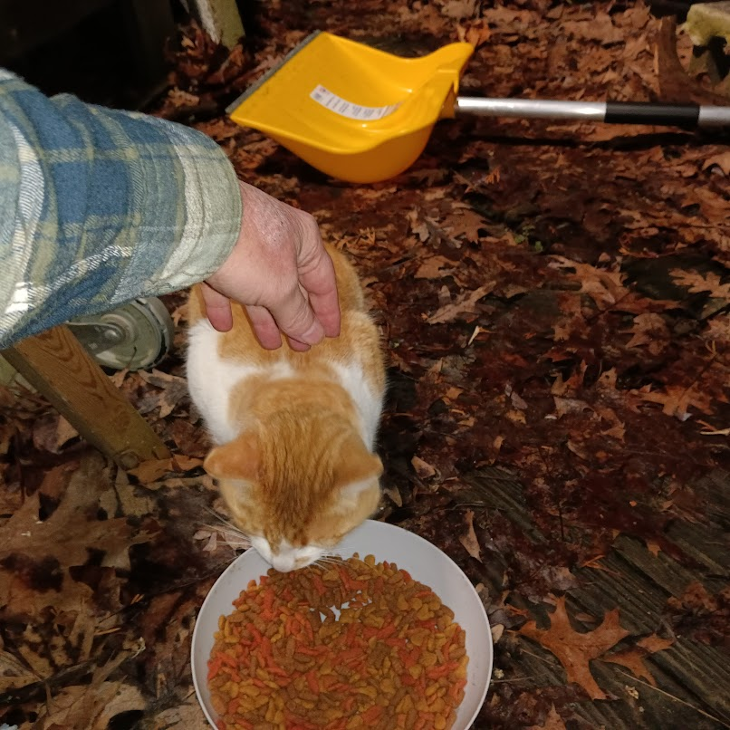 torch327 tweet media