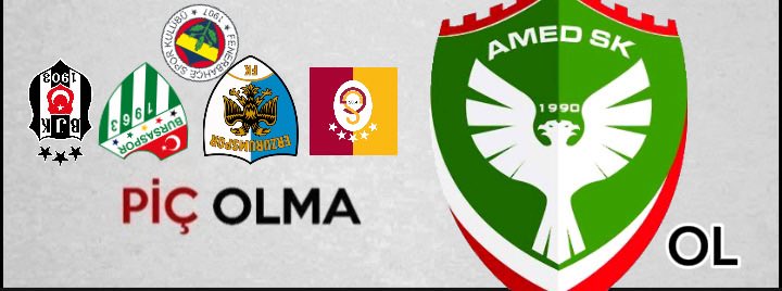 Havin Çavdar tweet media