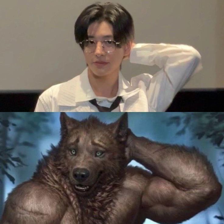 majo 🪷 || ENHYPEN IS 7 🧡|| tweet media