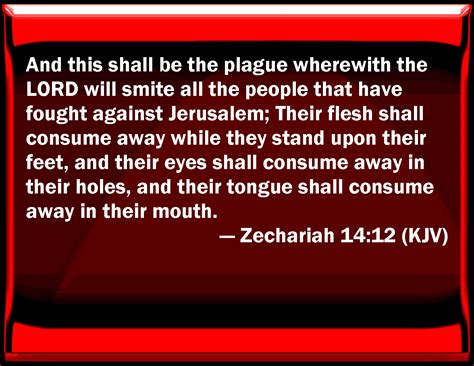 U.S Patriots tweet media