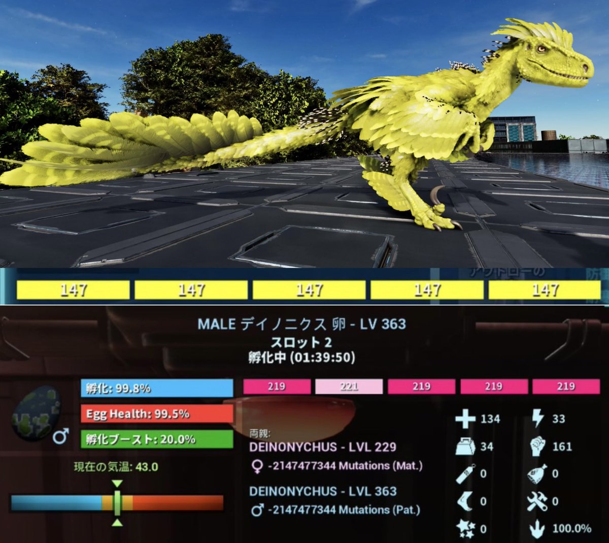 ちょこ🍫 tweet media