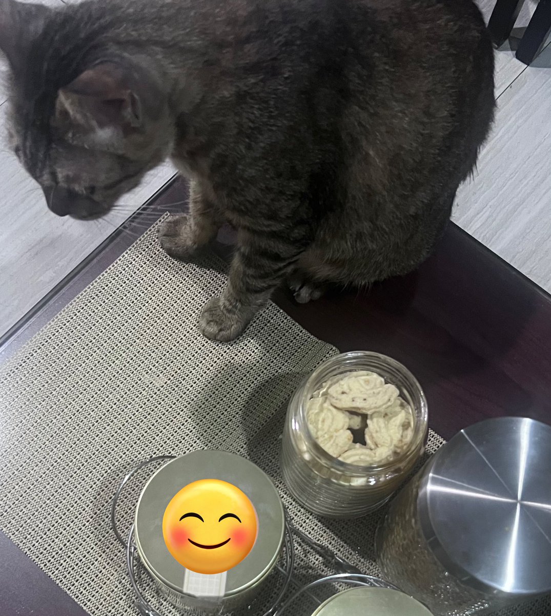 Lula ❄️🦊 tweet media