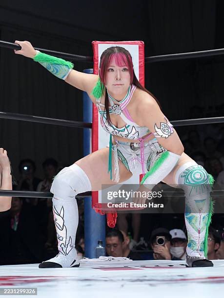 Knights of C-Donia tweet media