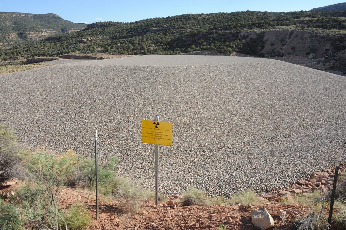 Tyler Is tweet media