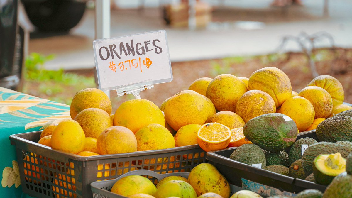 코빵/RAUM tweet media