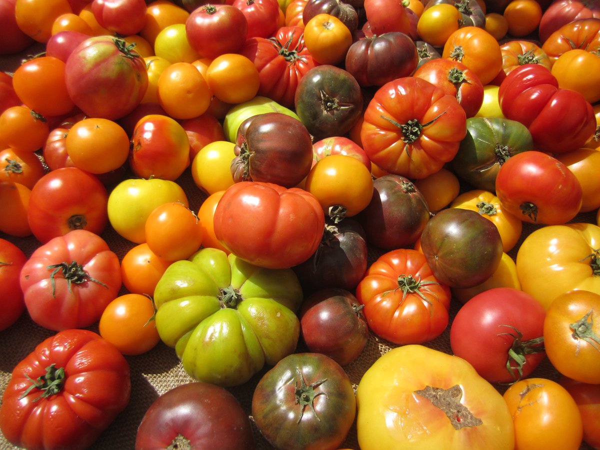 meganvphi's tweet photo. missing the culver city farmer’s market today https://t.co/wFtRgG6fhS