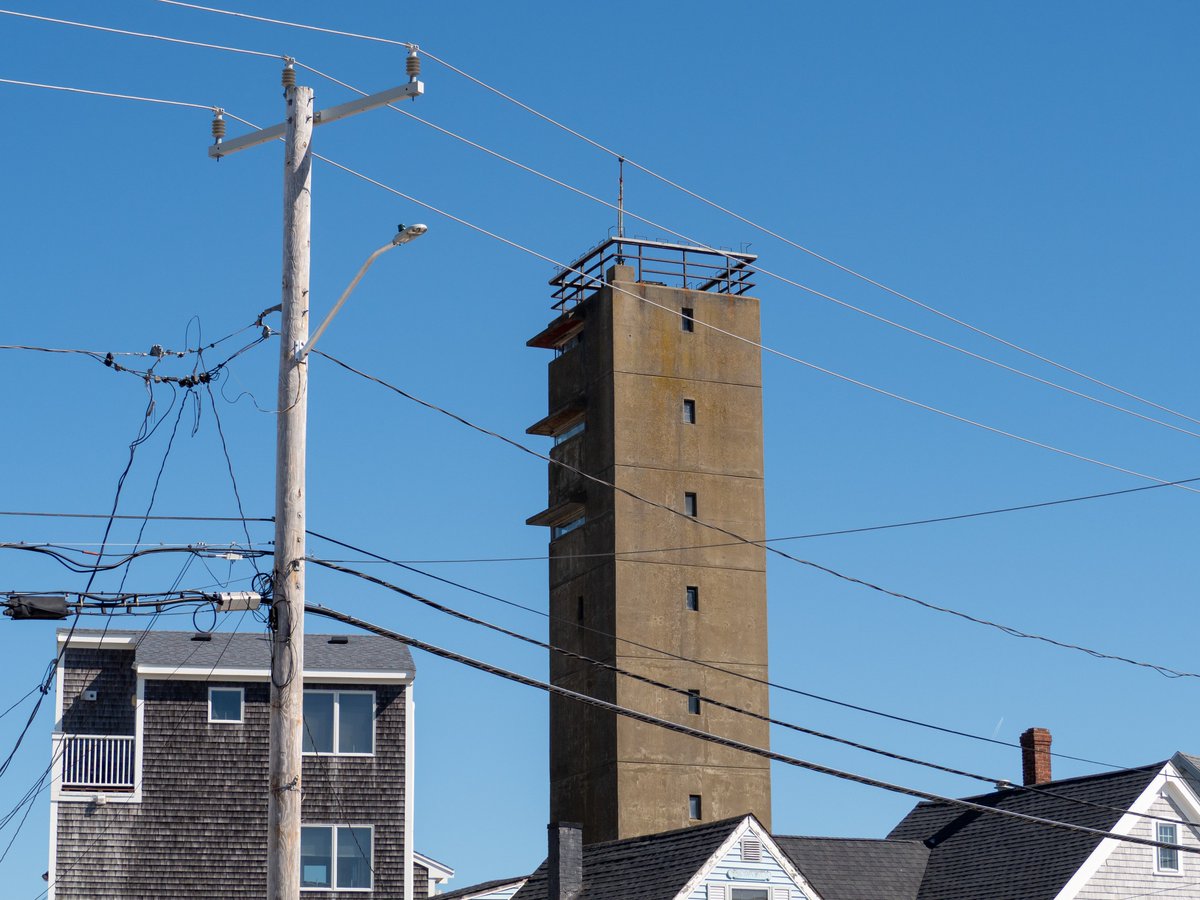 federal eunuch tweet media