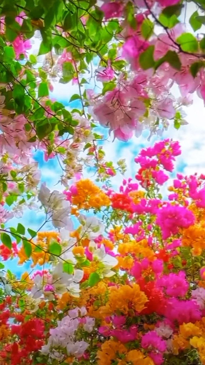 Raj Bakshi tweet media