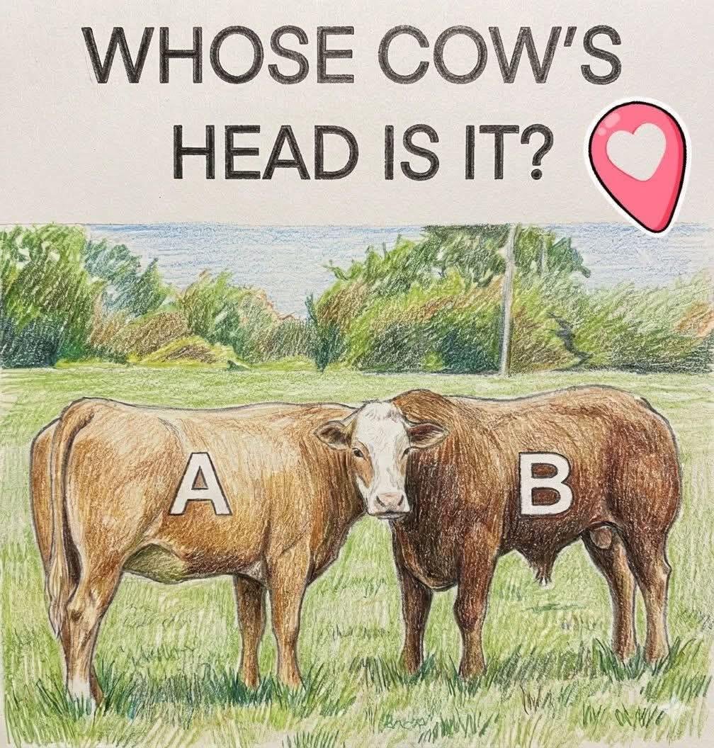 Brain IQ Test tweet media