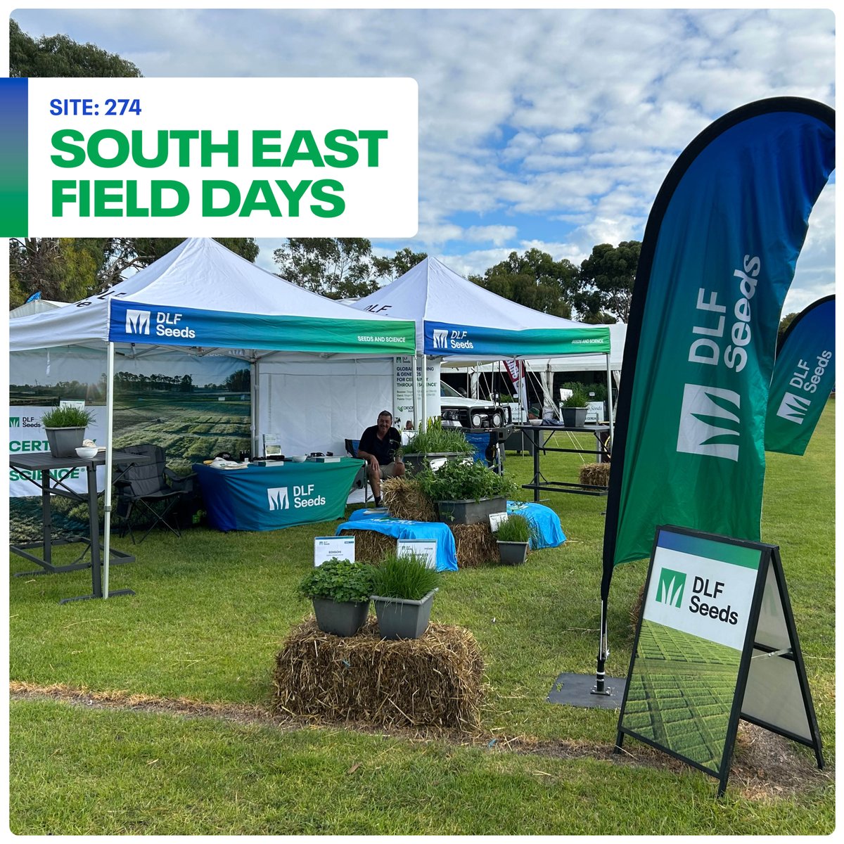 DLF Seeds tweet media