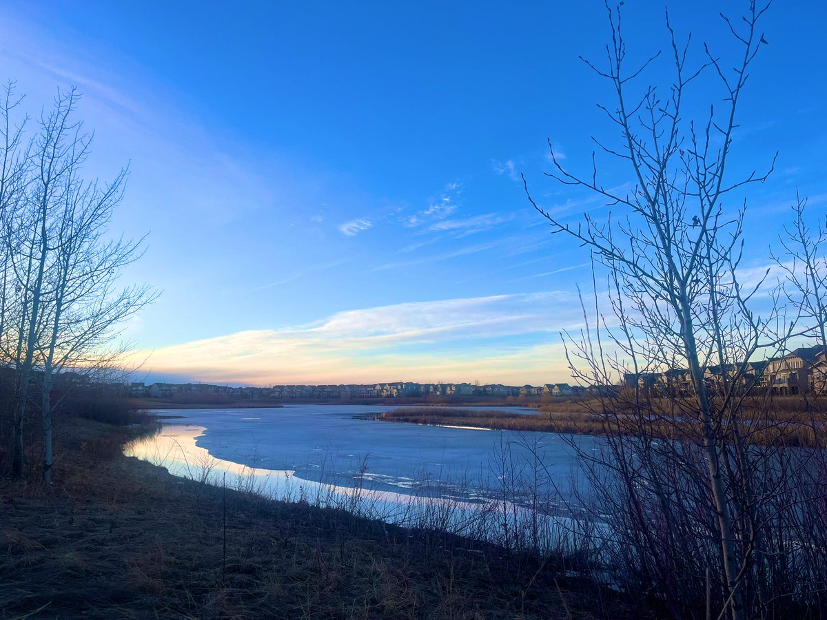 Yvonne Elizabeth tweet media