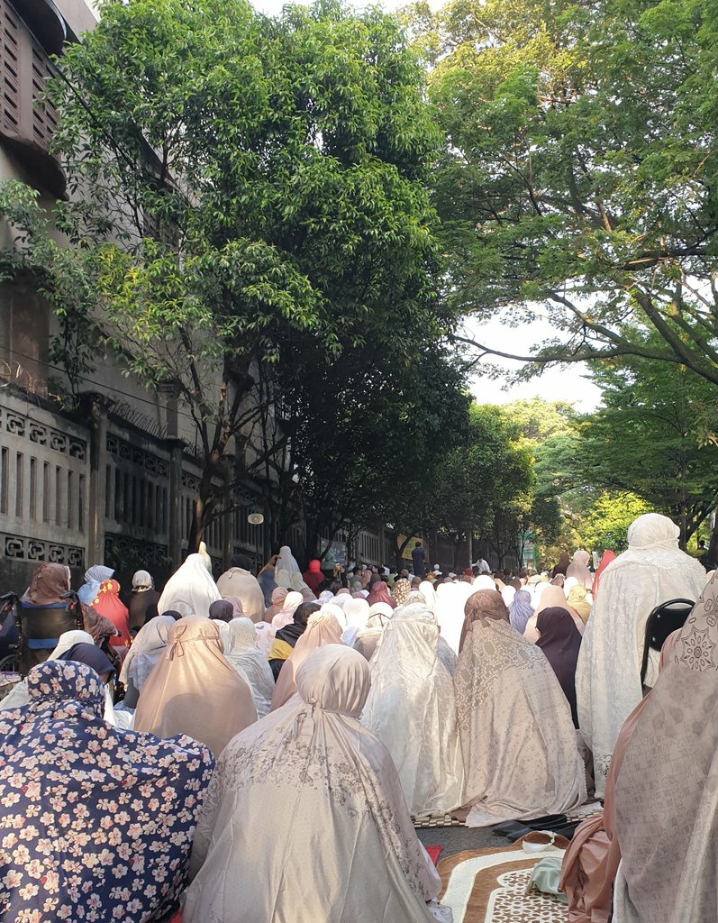 lilis without an s tweet media