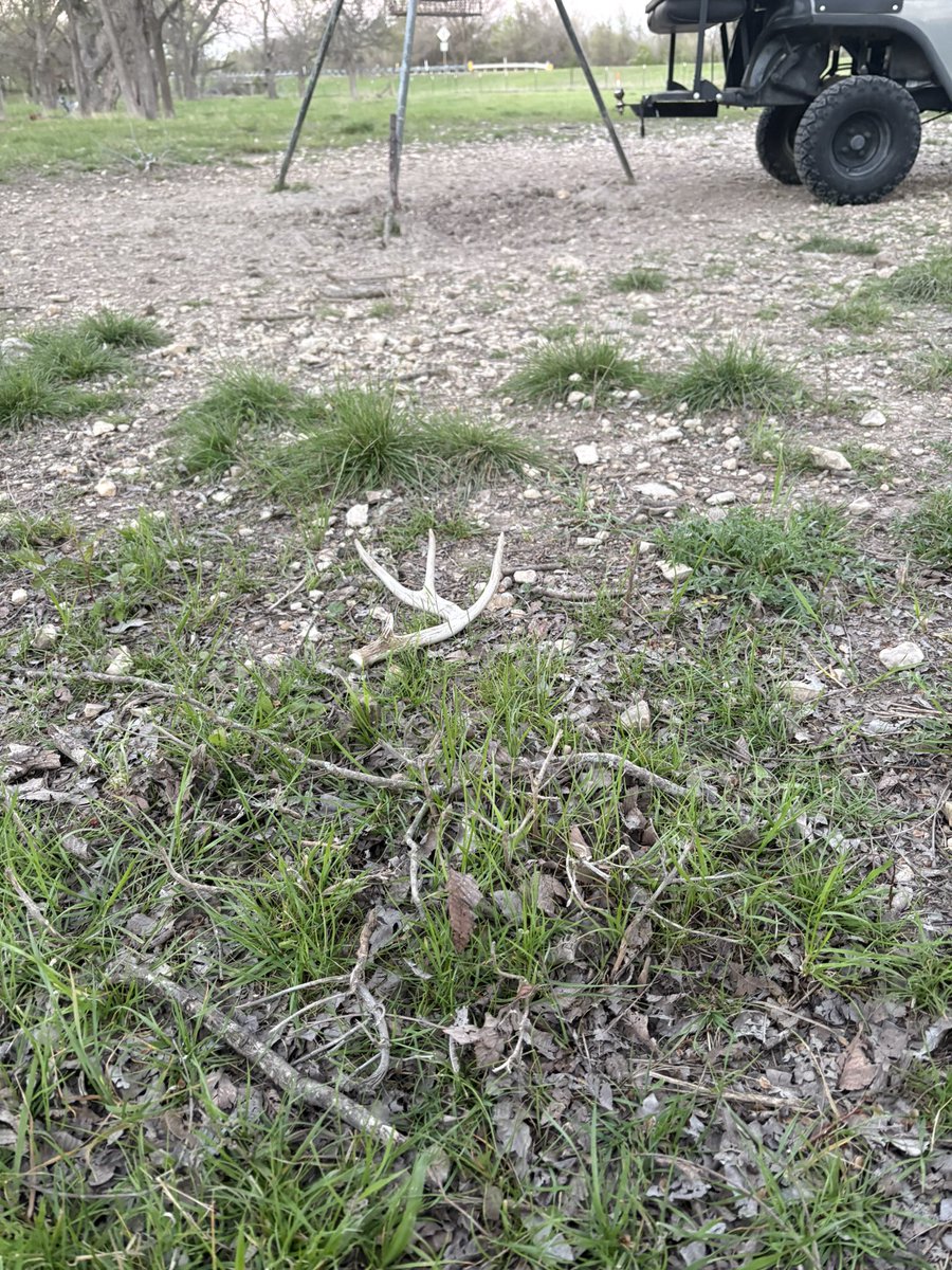 TheJustin tweet media