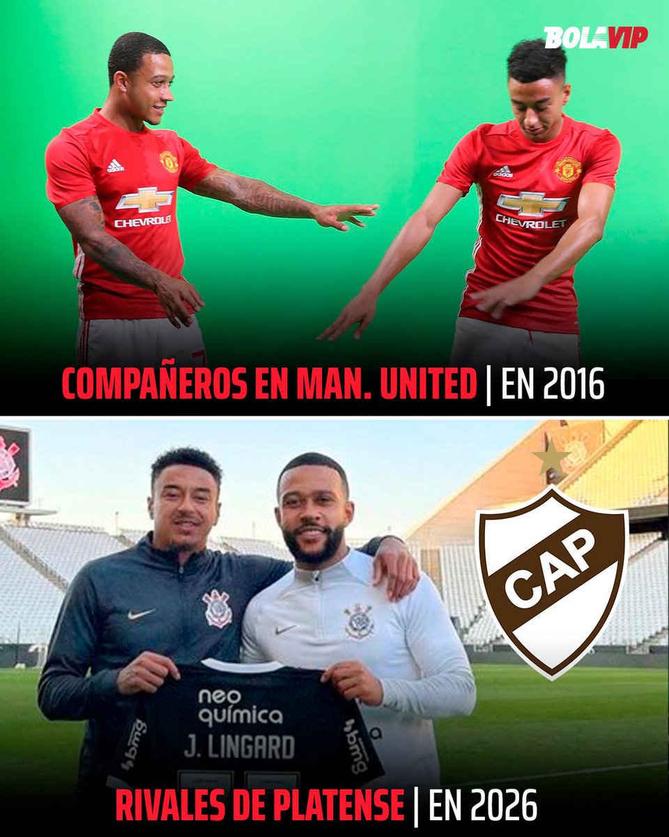 Bolavip Argentina tweet media