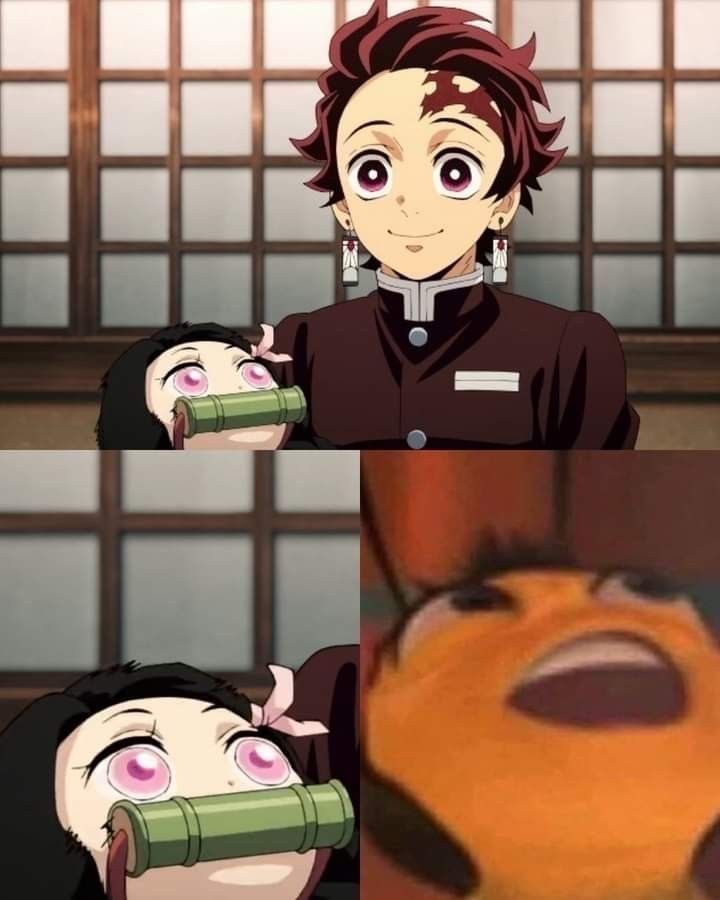 Demon Slayer Daily tweet media