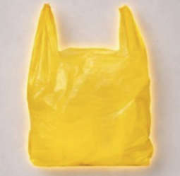 Pickle von Noodle tweet media