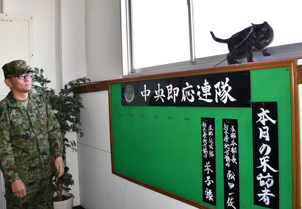 自衛隊栃木地方協力本部 tweet media