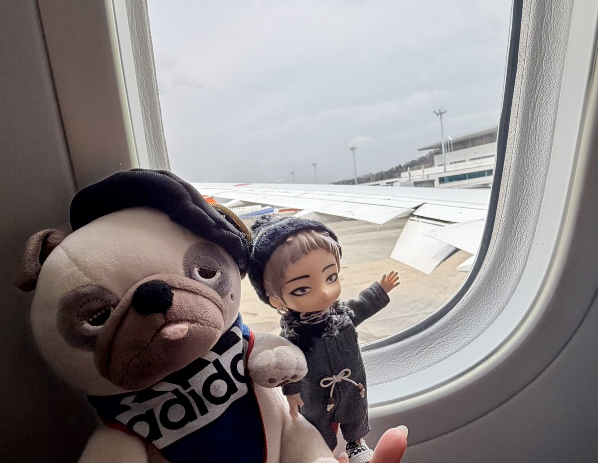 あずさん tweet media