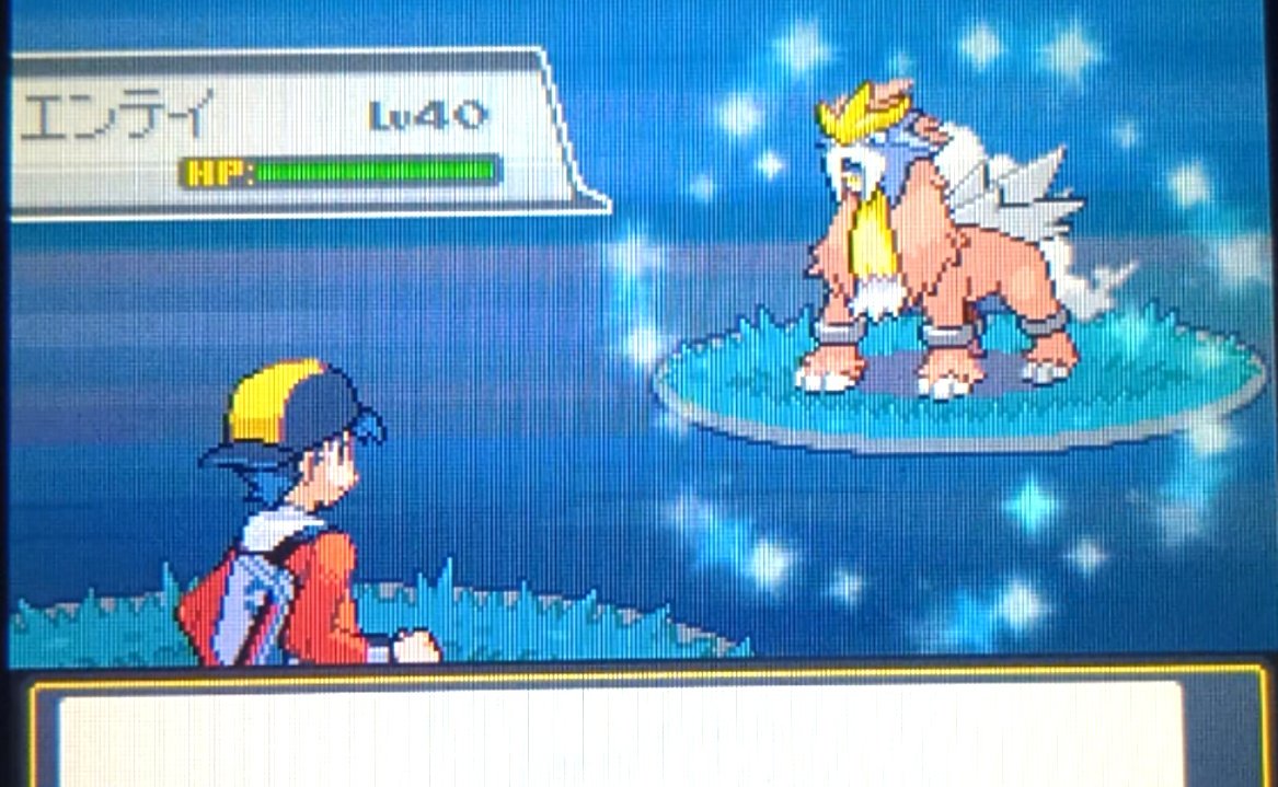 きらきら tweet media