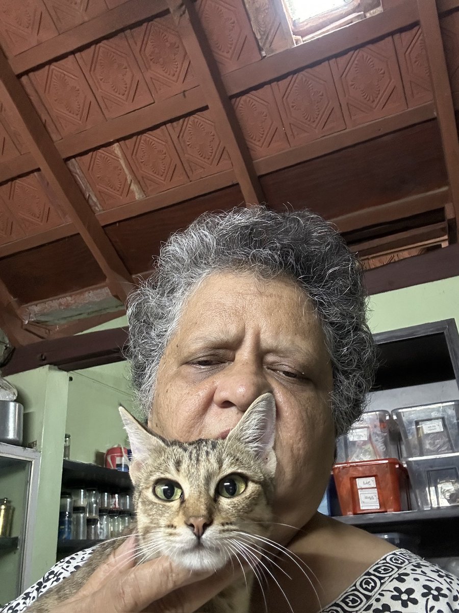 Louvina Andrade tweet media