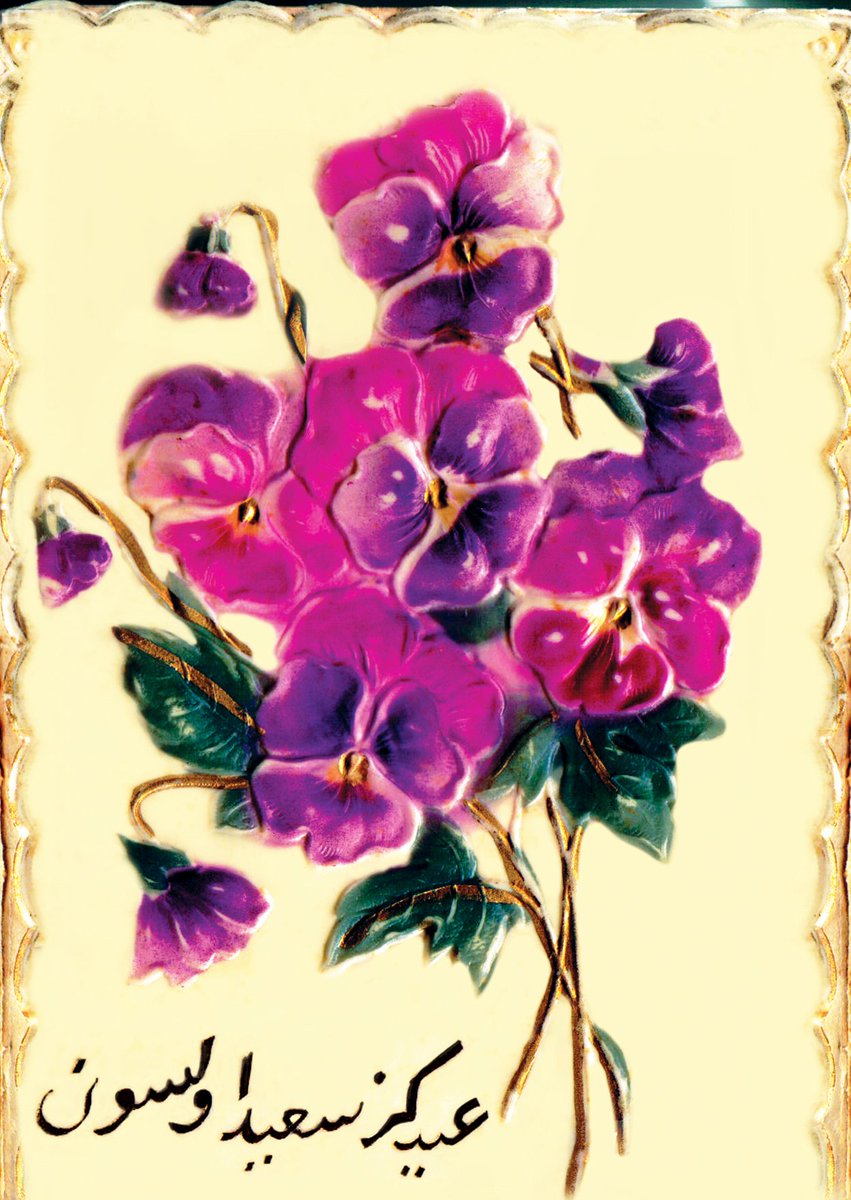 Mustafa Armağan tweet media