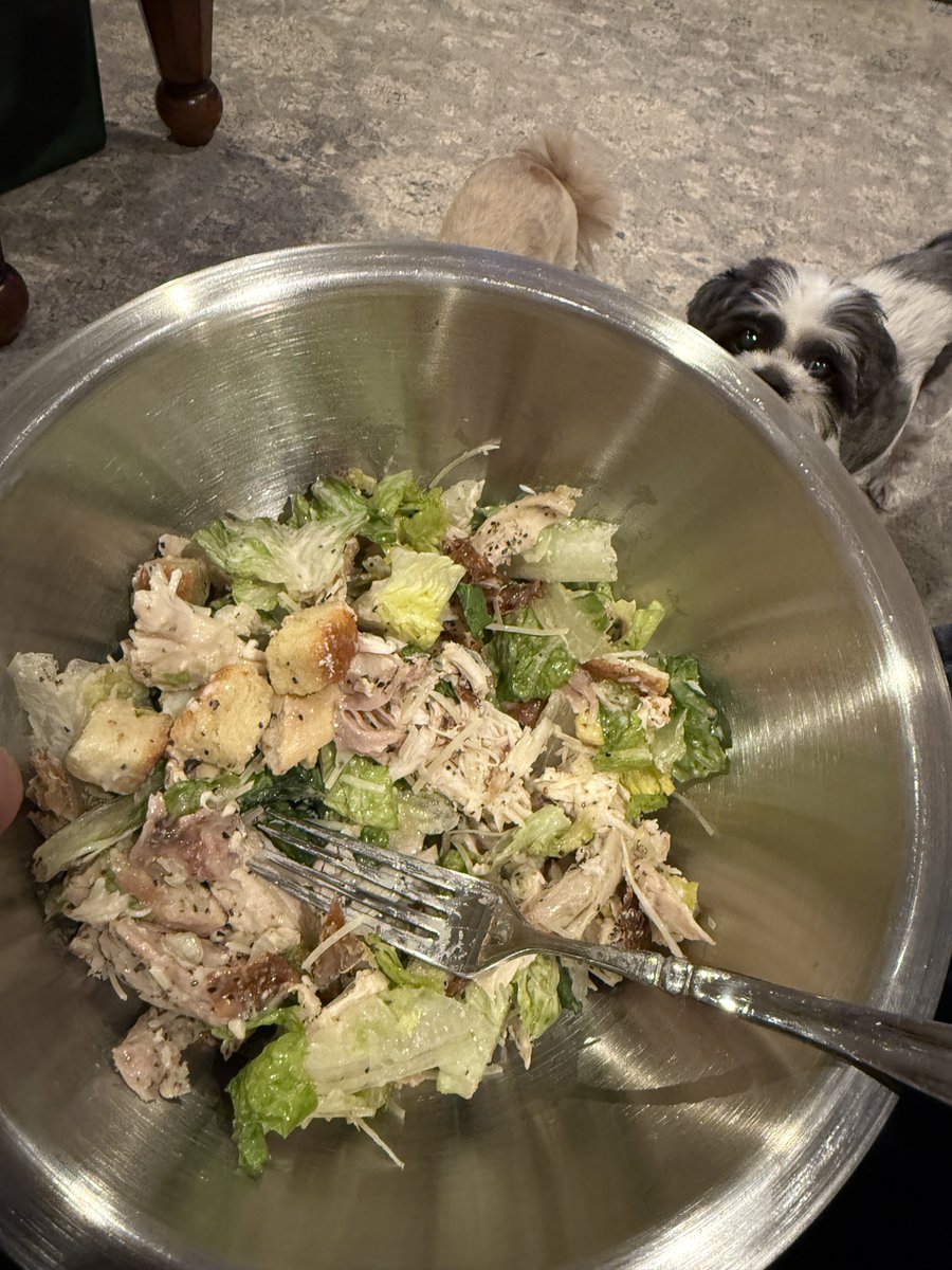 I love Tesla 🔋🚀 tweet media