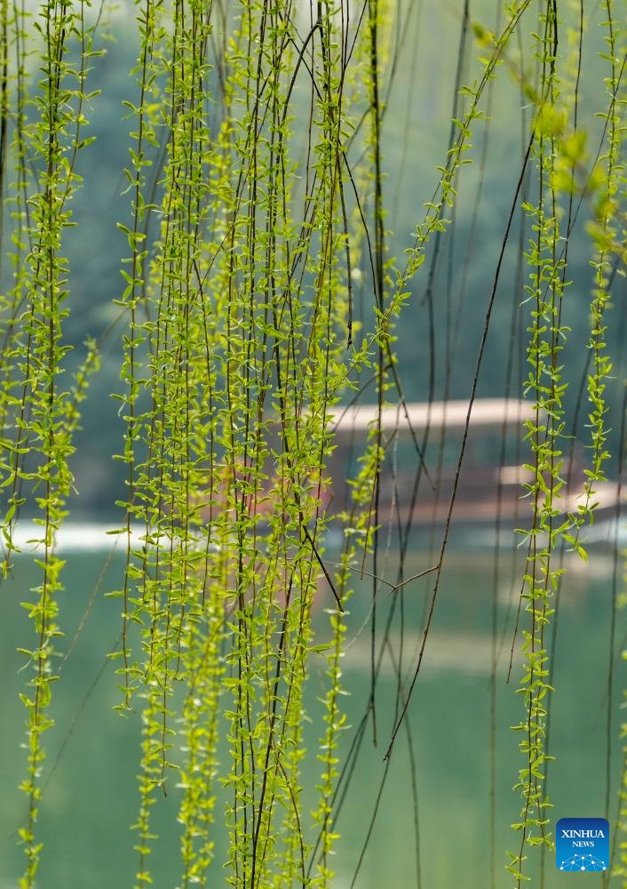 SDHS CSI tweet media