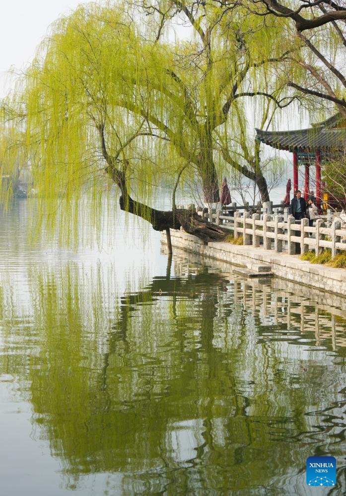 SDHS CSI tweet media