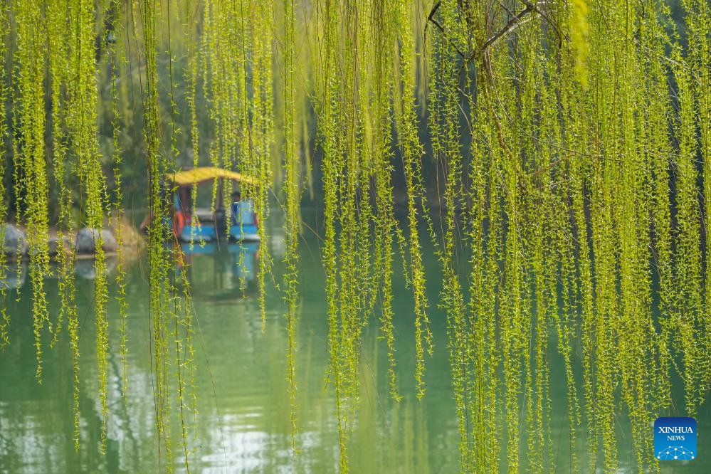 SDHS CSI tweet media