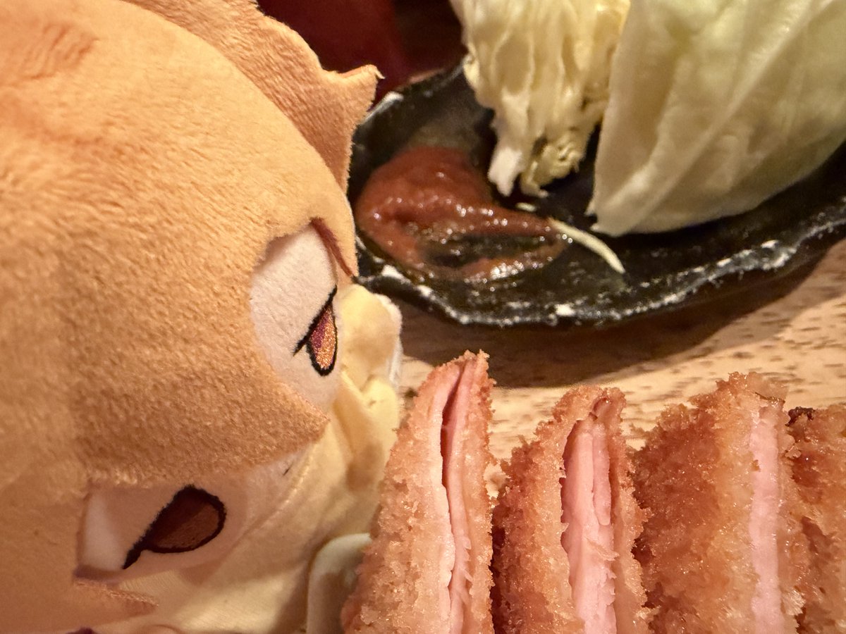 ハムカツロックオンまぷ