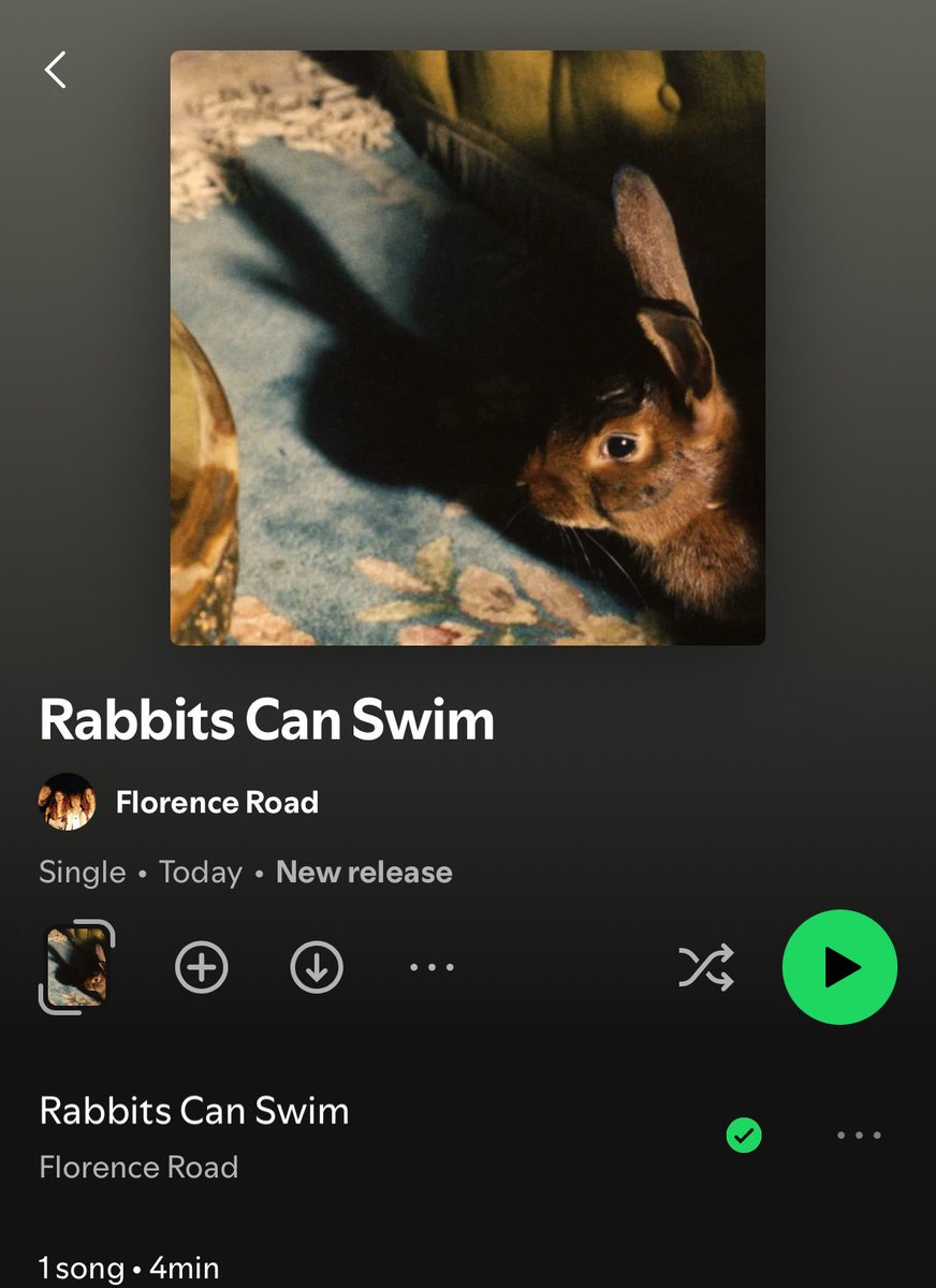 gunn 🐇 tweet media