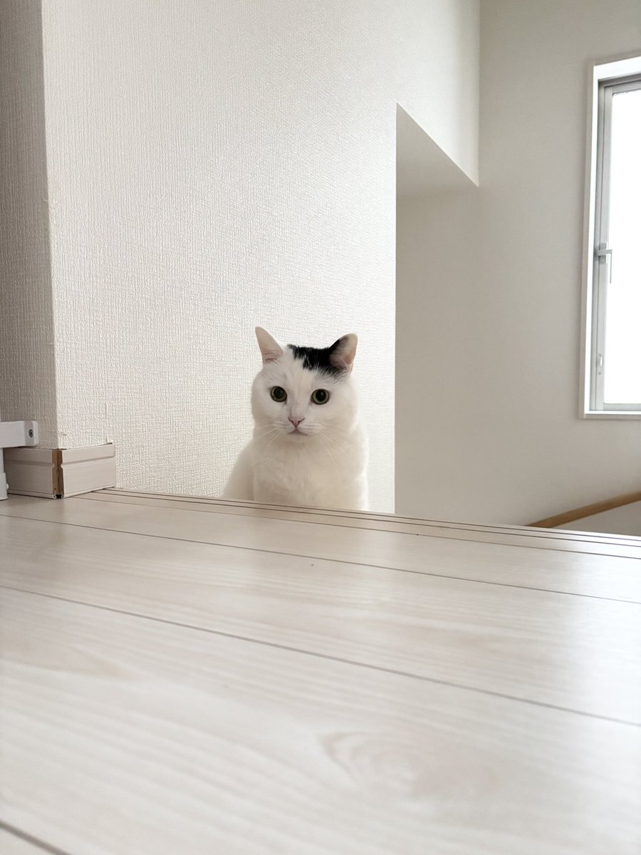 まつもとたける tweet media