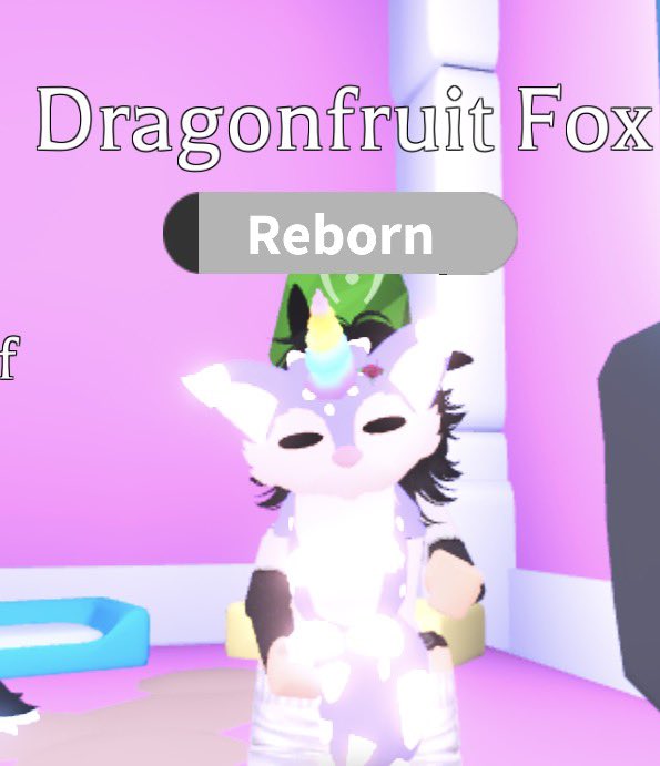 Starz 💫 tweet media