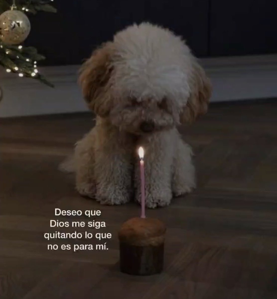 Amén 🙏🏻