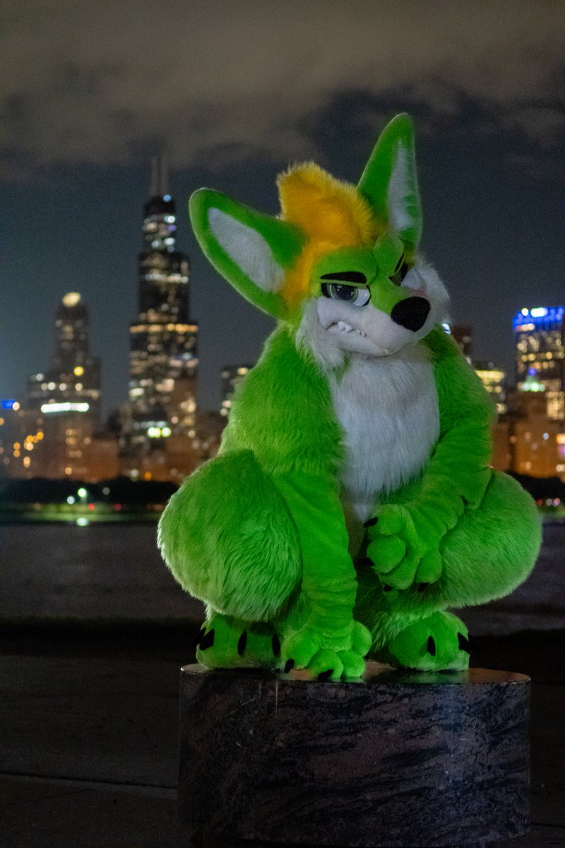 Ascari Husky @FurDu/FWA/AO/AC tweet media