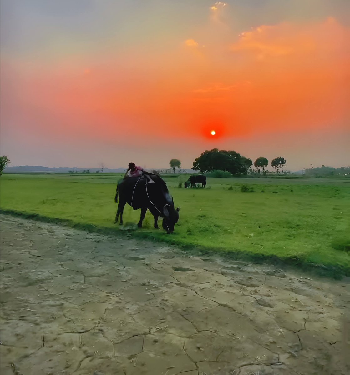 अमित कुमार विनि tweet media