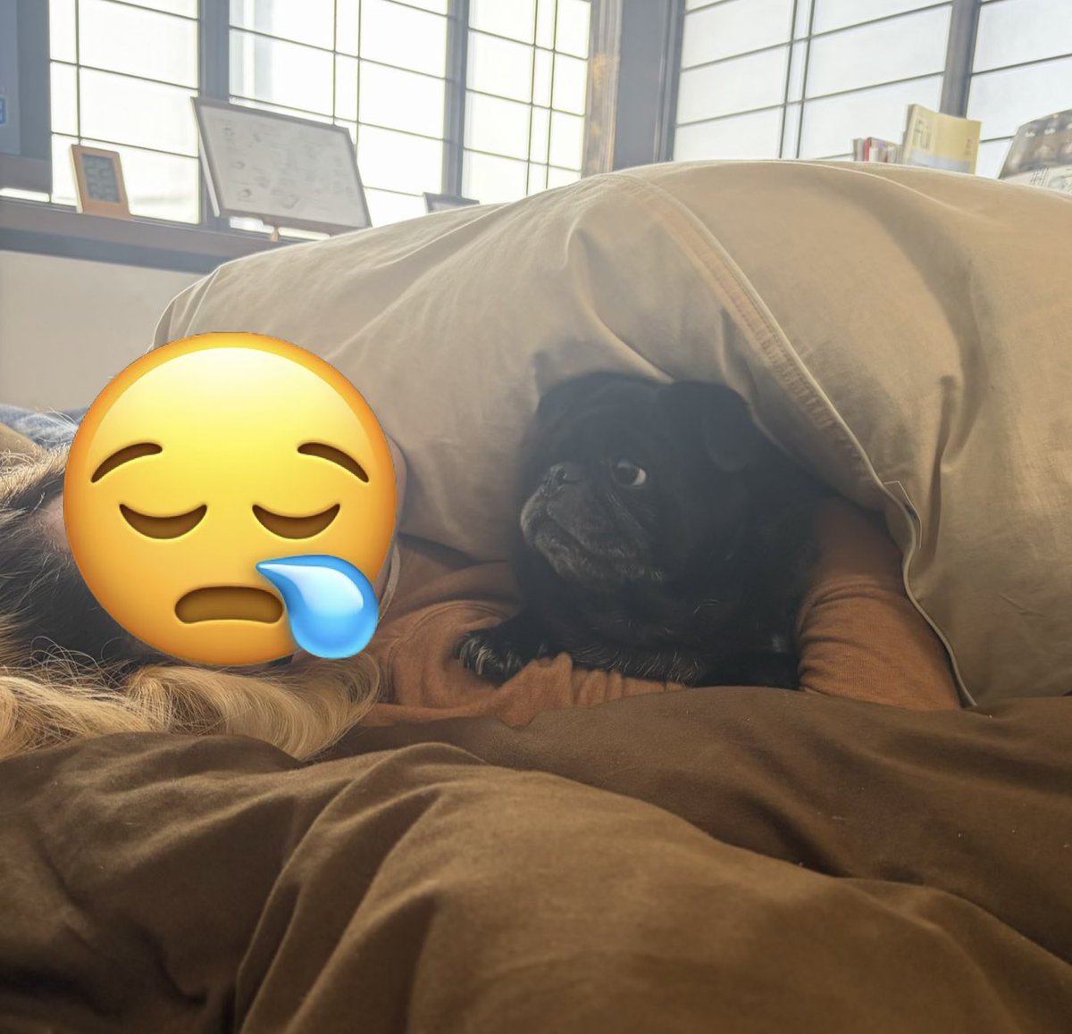 ツナ缶 tweet media