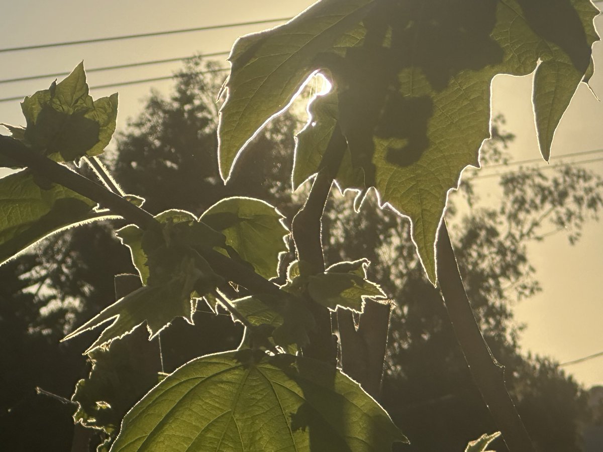 ・❥・ tweet media