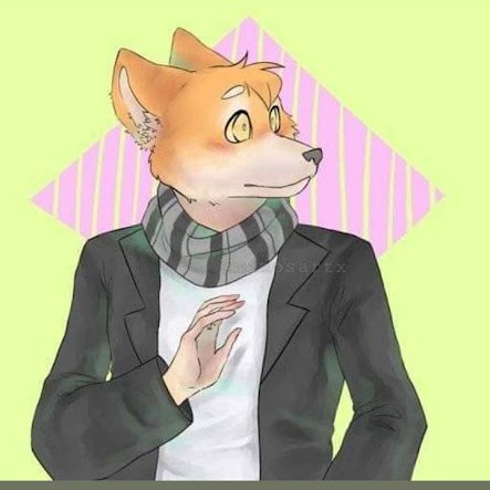 𝓡𝓲𝓪𝓶𝓾 tweet media