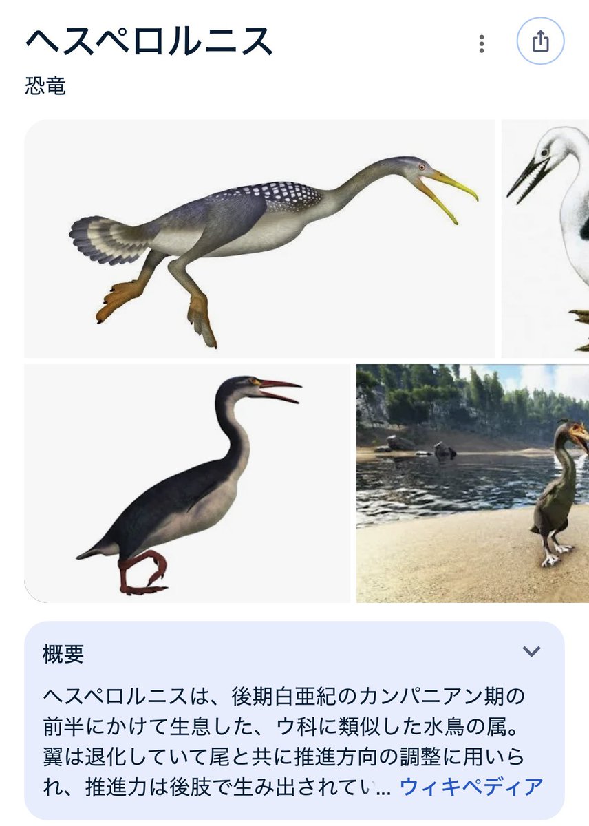 ←KEL(ケル)→ tweet media