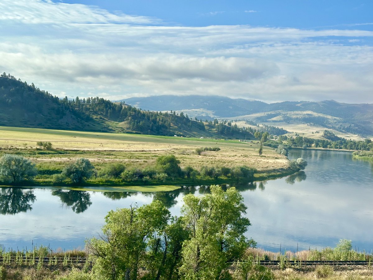 William Lee Golden tweet media