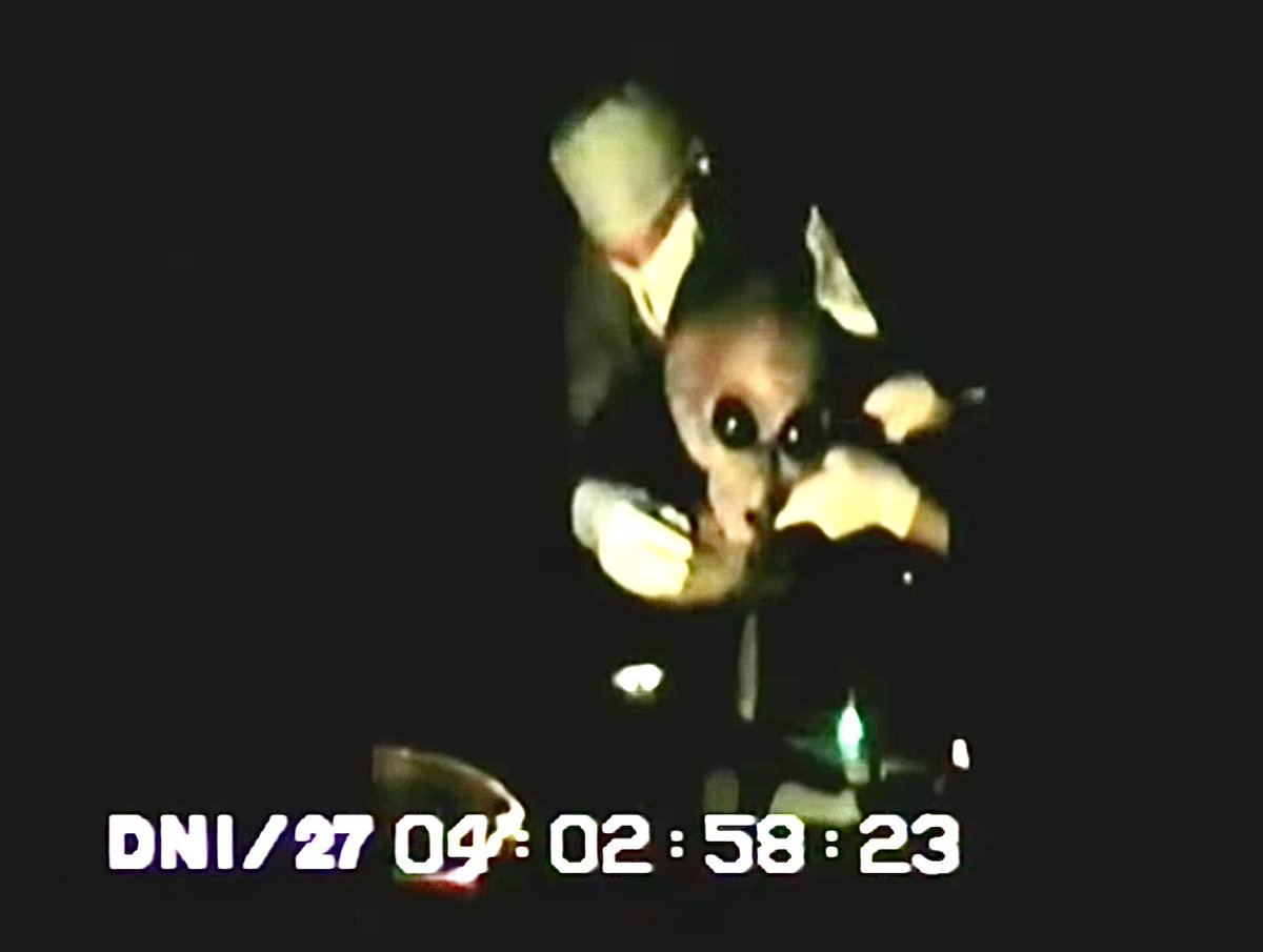 Jon Stewart tweet media