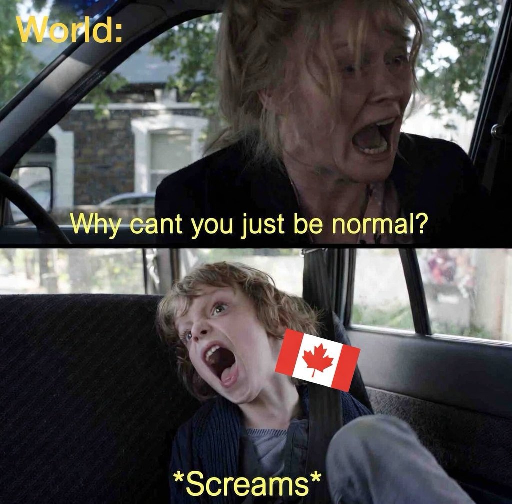 Chadimir Poutine 👨 🐻 🐷 tweet media