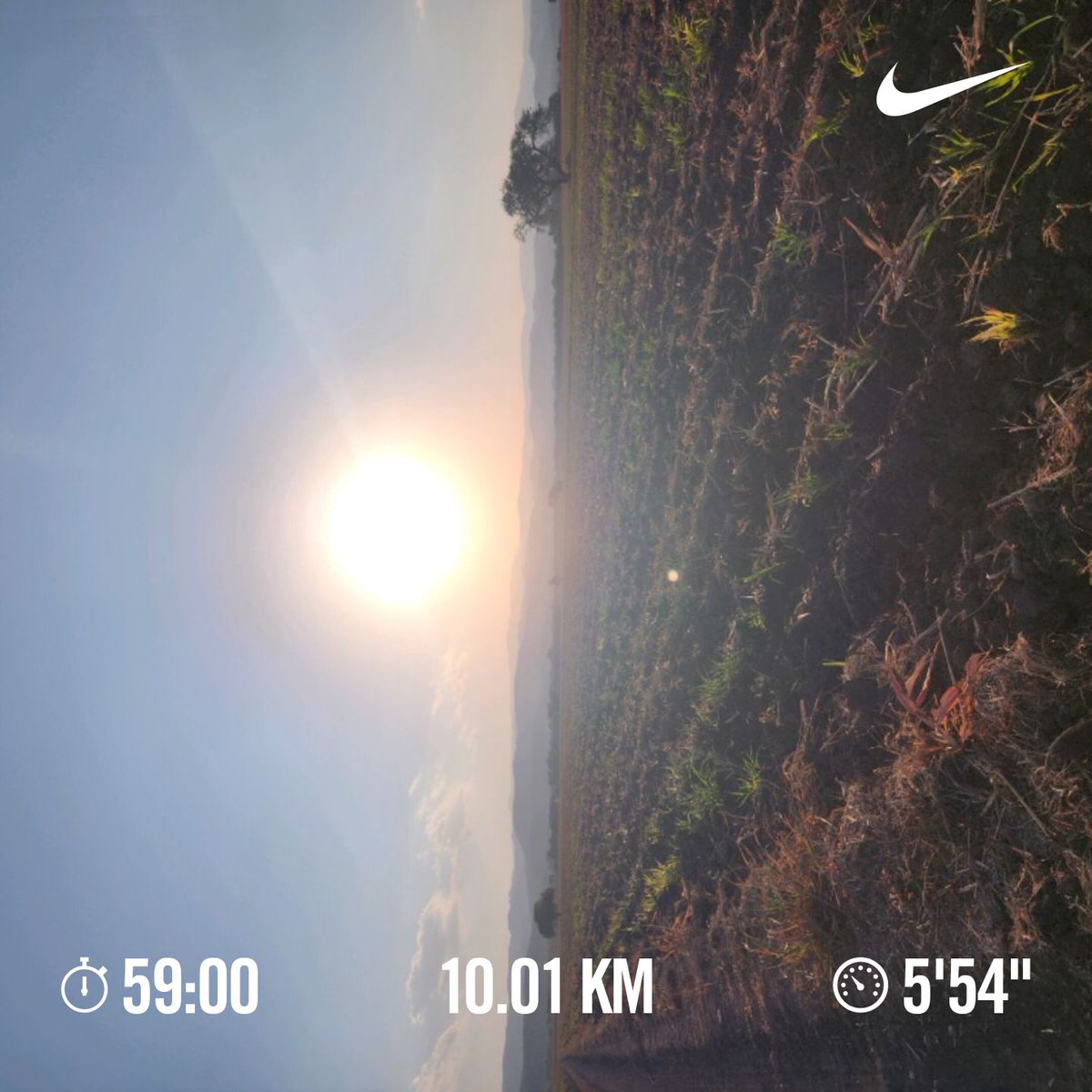 Martin Herrz tweet media