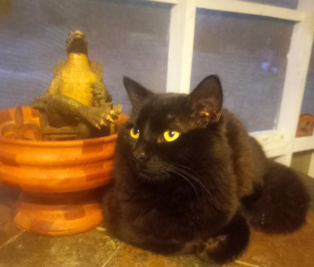 Trails I Travel⚜️ tweet media