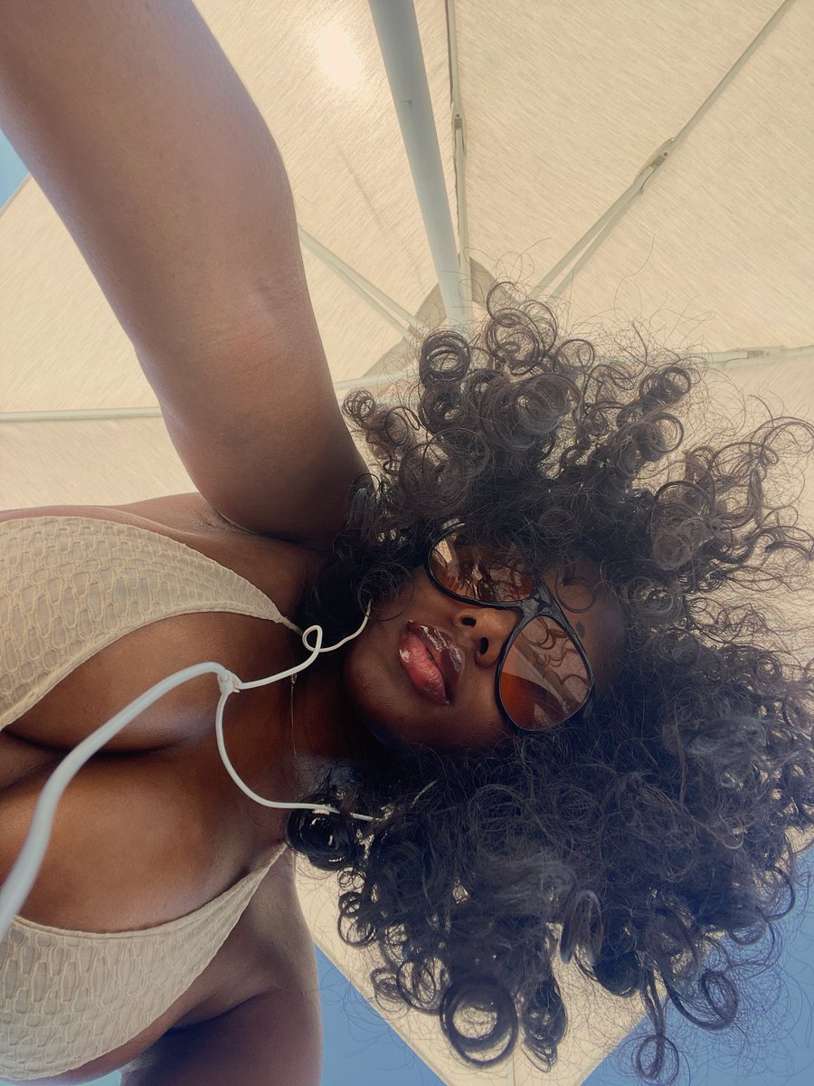 Div 🦂 tweet media