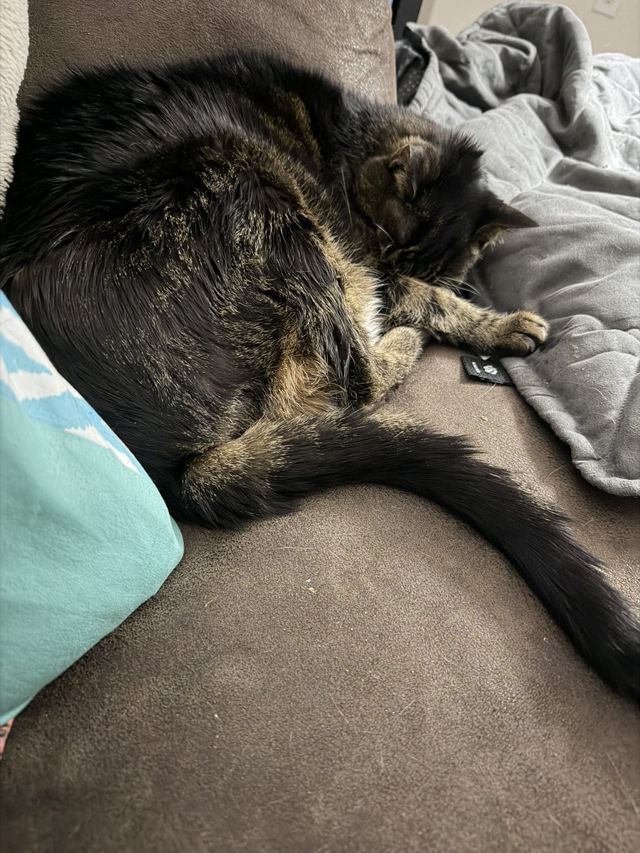 LoisAceLane tweet media